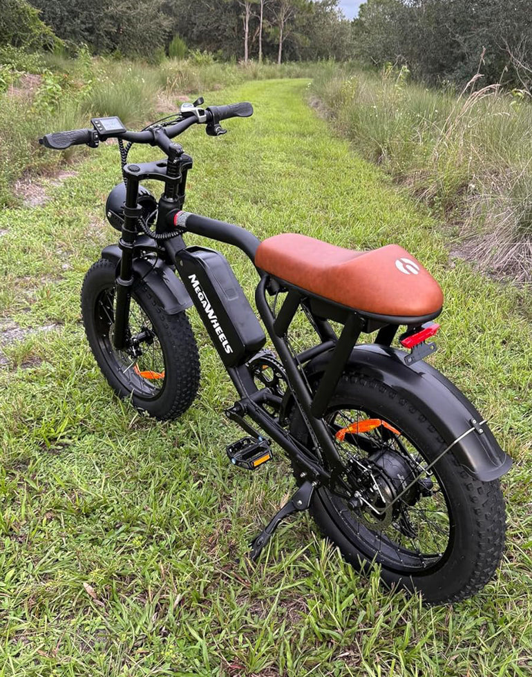wheel electric bicycle isinwheel M60 All-terrain Bike, 48V 13Ah / White With its powerful yet quiet 250 Portola (Battery Size: 10.4ah, Color: