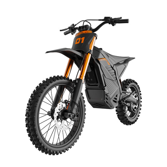 D2 Pro Electric Dirt Bike