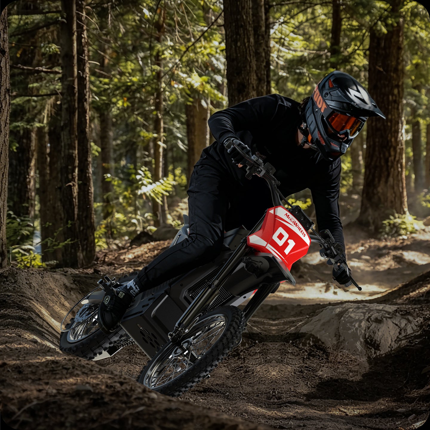 RIDE THROUGH ANYTHING