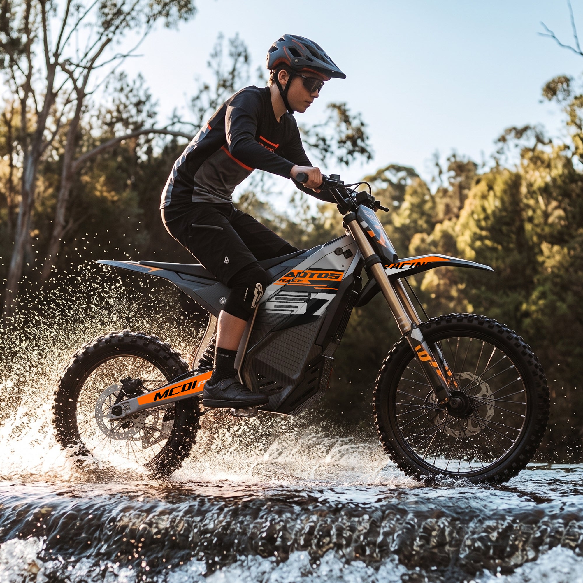 D3 Pro Electric Dirt Bike